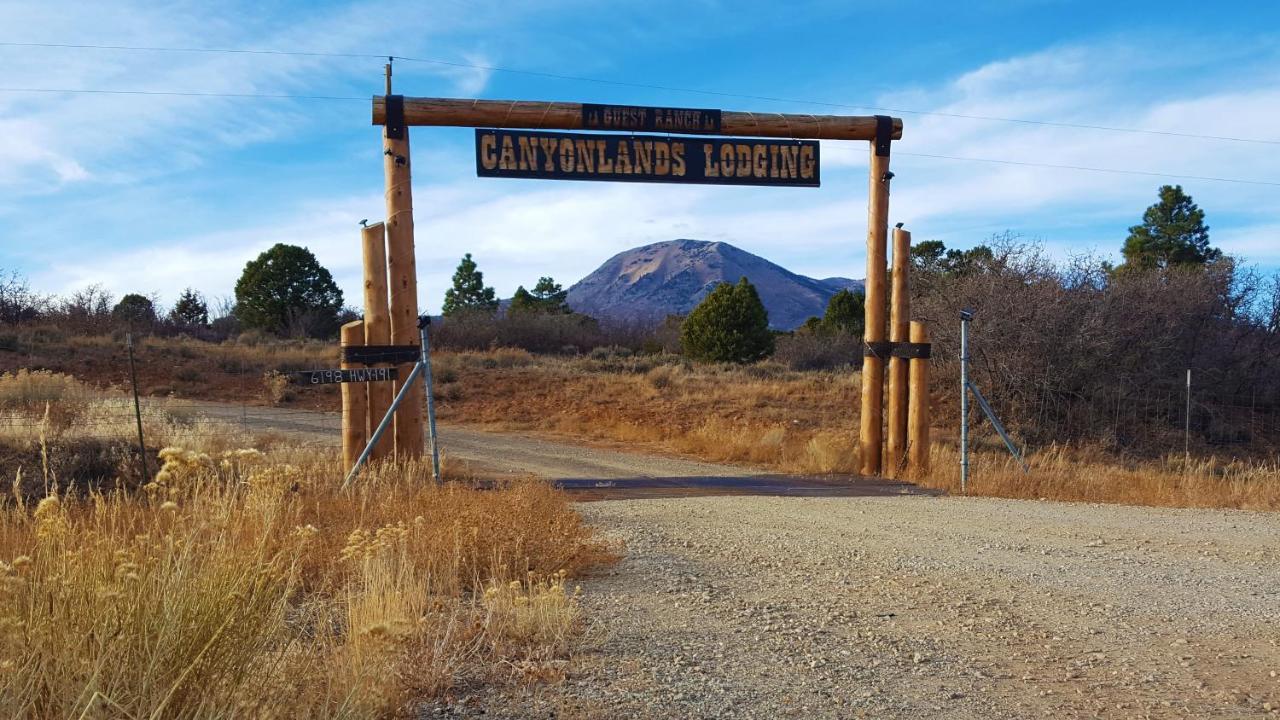 Ranch Mountain Cabin, Stunning! Campfire, Hiking Monticello Esterno foto