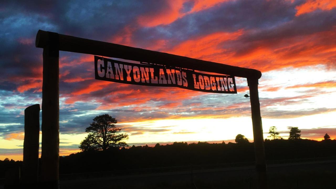 Ranch Mountain Cabin, Stunning! Campfire, Hiking Monticello Esterno foto